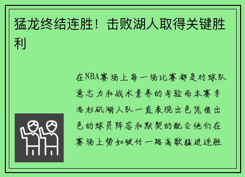 猛龙终结连胜！击败湖人取得关键胜利